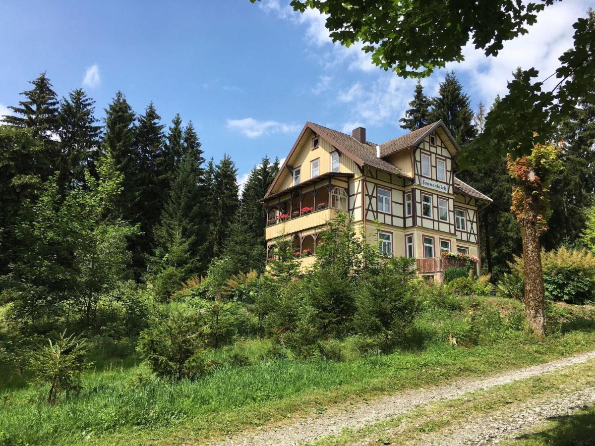 Haus Sonnenblick Apartment Benneckenstein Exterior foto